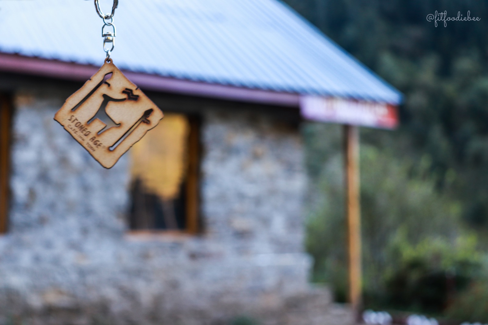 StonedAge logo — petroglyph origin, 8000 BC